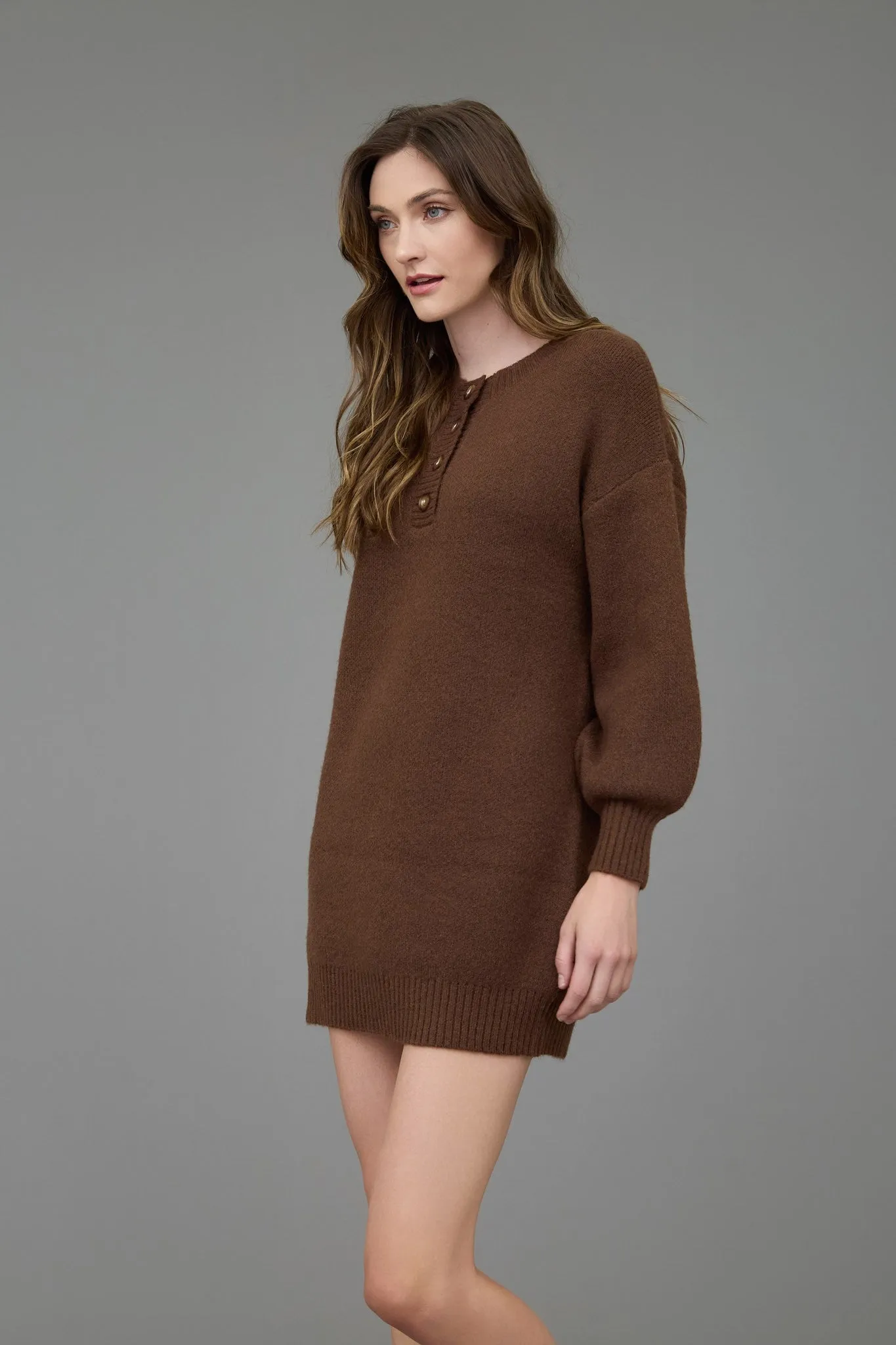 Allison Sweater Mini Dress | Coffee Bean