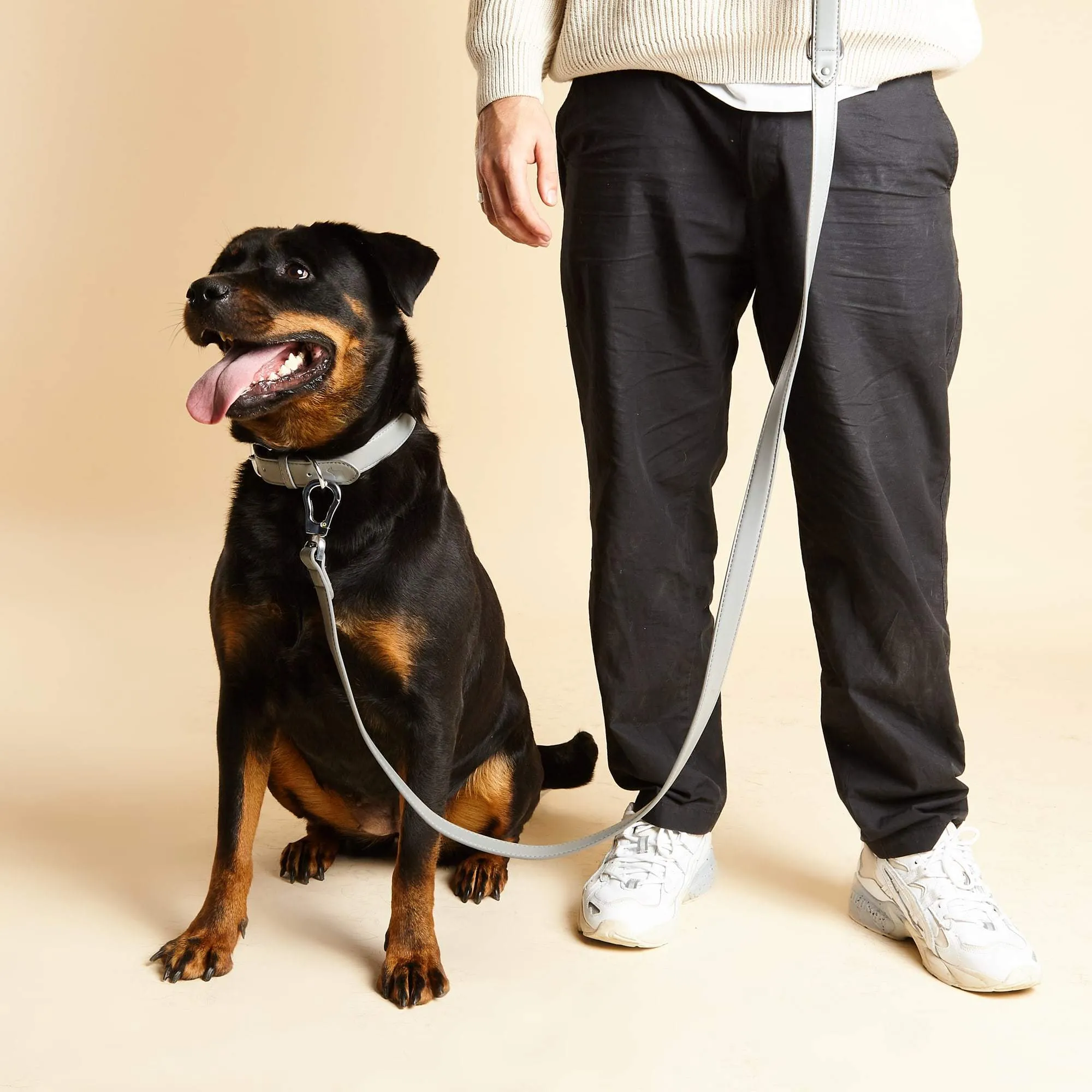 Ash Grey Dog Collar