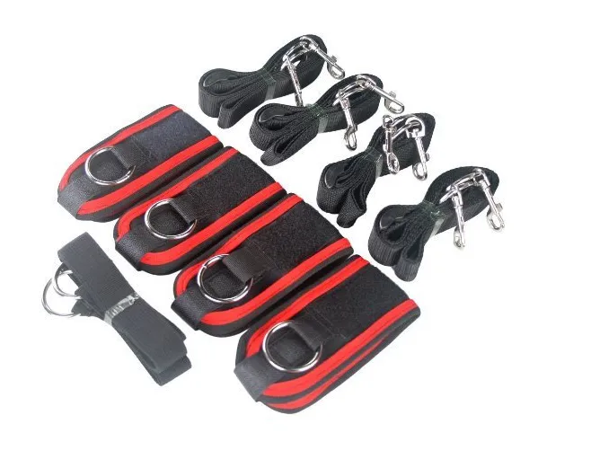 Bed Restraint System
