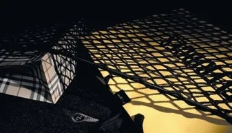 Bentley Continental GTC Luggage Net