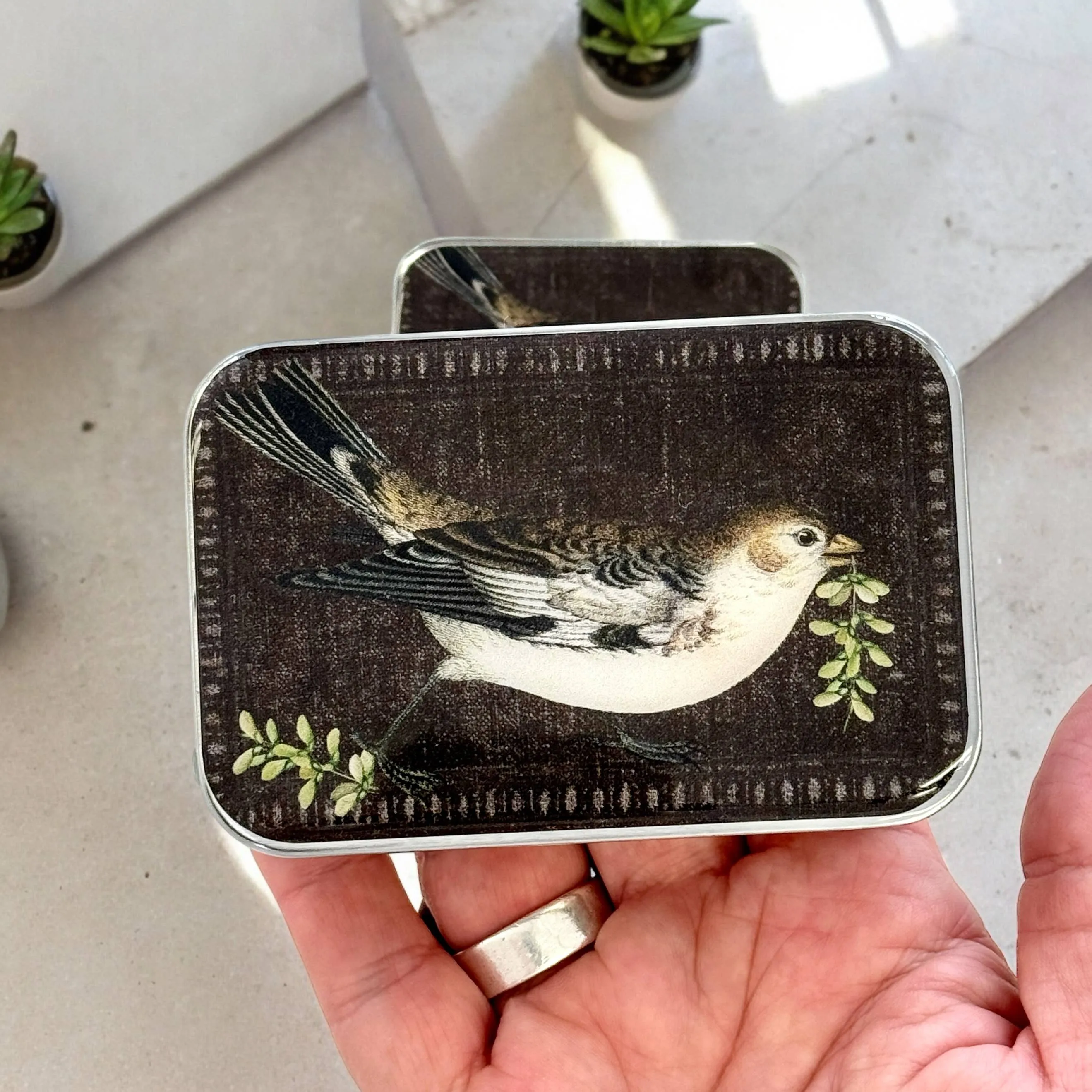 BIRDSONG NOTIONS TIN