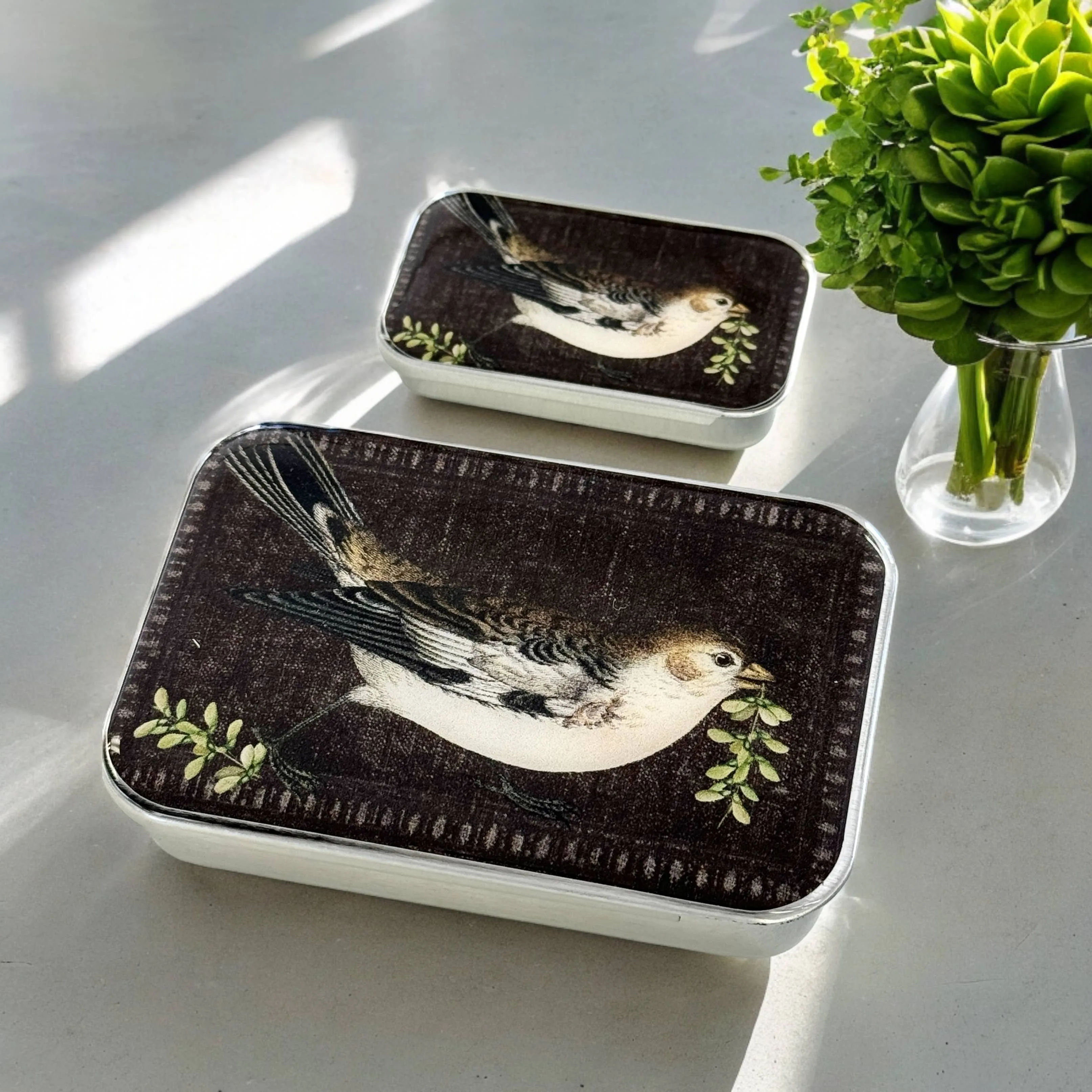 BIRDSONG NOTIONS TIN