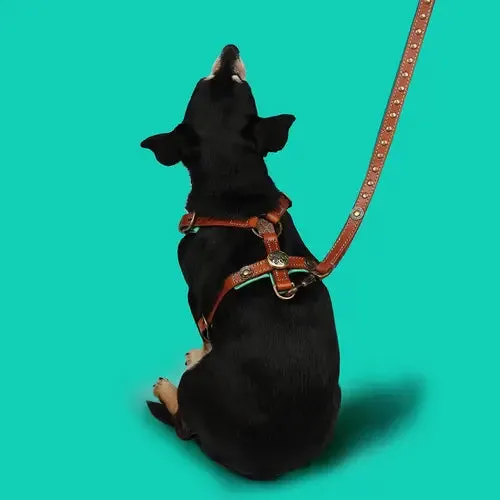Dog with a Mission Leather Dog Harness-Rock