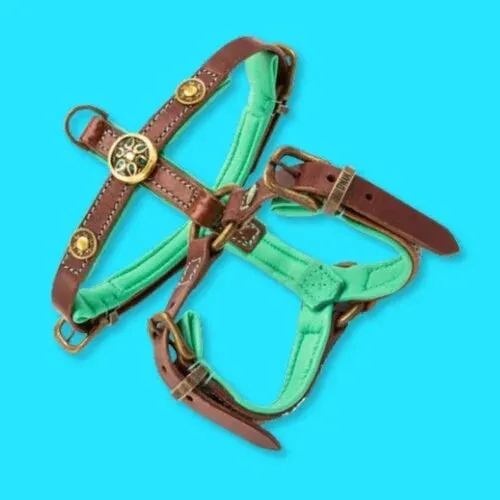 Dog with a Mission Leather Dog Harness-Rock