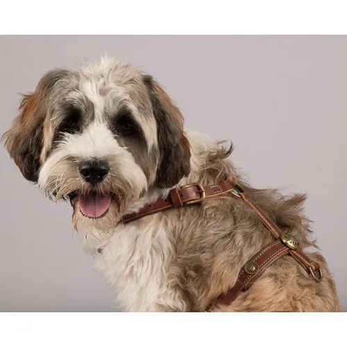 Dog with a Mission Leather Dog Harness-Rock
