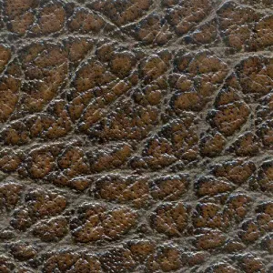 Elephant - Brown