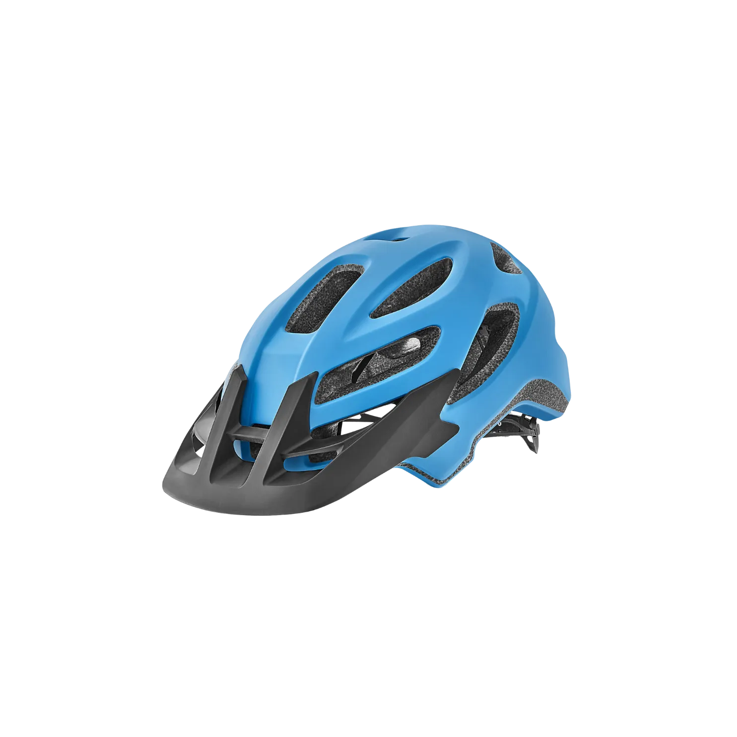 Giant Roost Helmet - Matte Blue