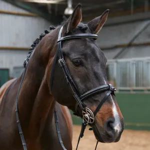 John Whitaker Eastwood Flash Bridle (inc. 9-Loop Rubber Reins)