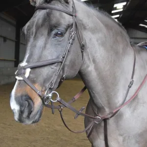 John Whitaker Ready to Ride Pre-Oiled Martingale