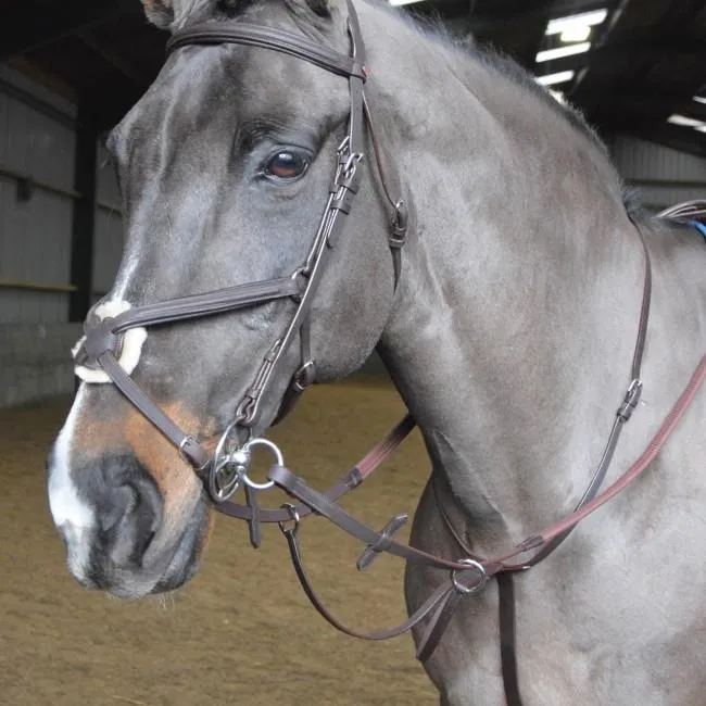 John Whitaker Ready to Ride Pre-Oiled Martingale