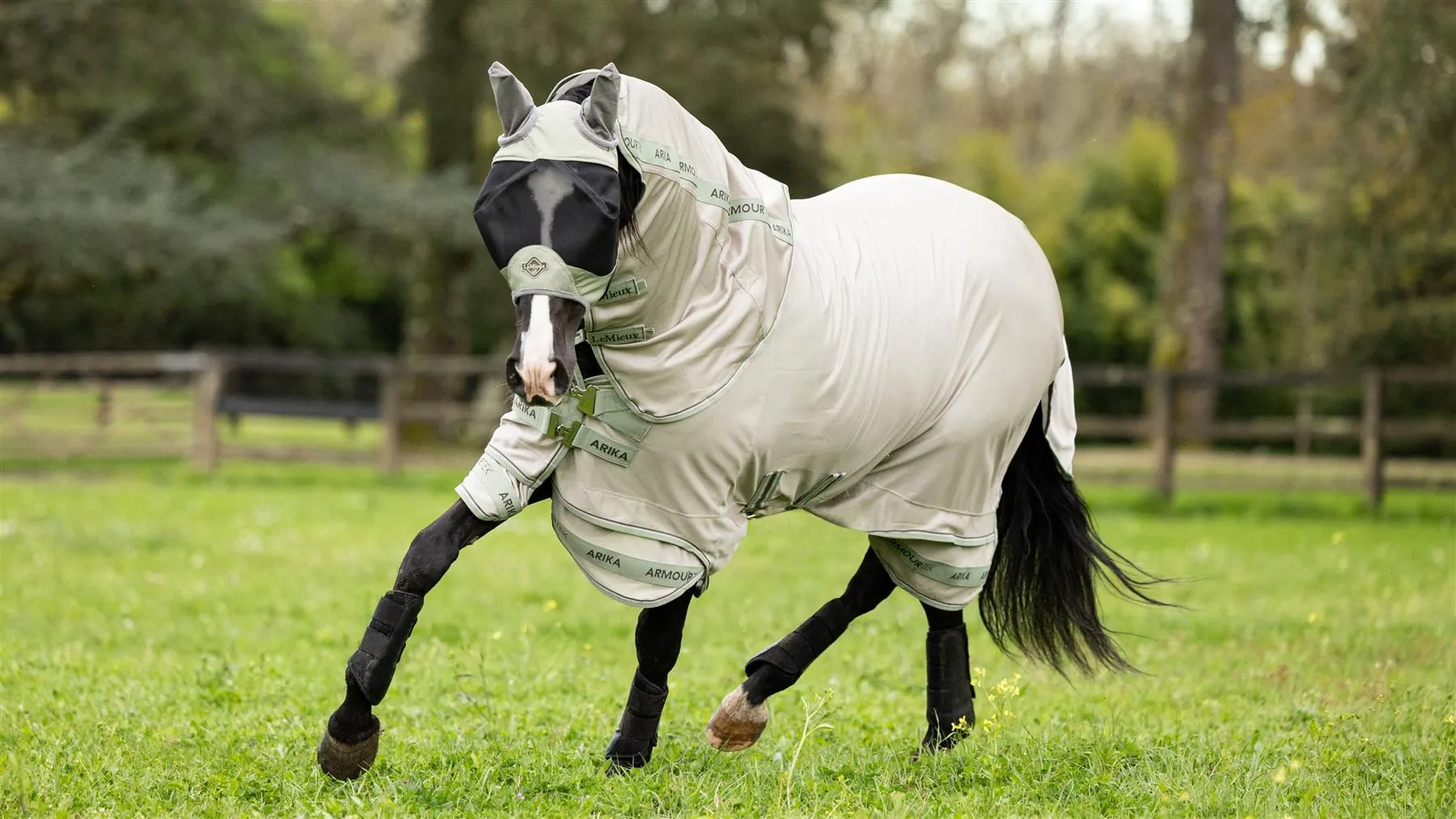LeMieux Arika Armour-Tek Fly Rug