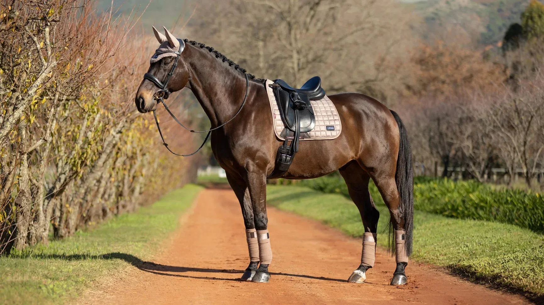 LeMieux Rhone Polo Bandages Prosecco Full