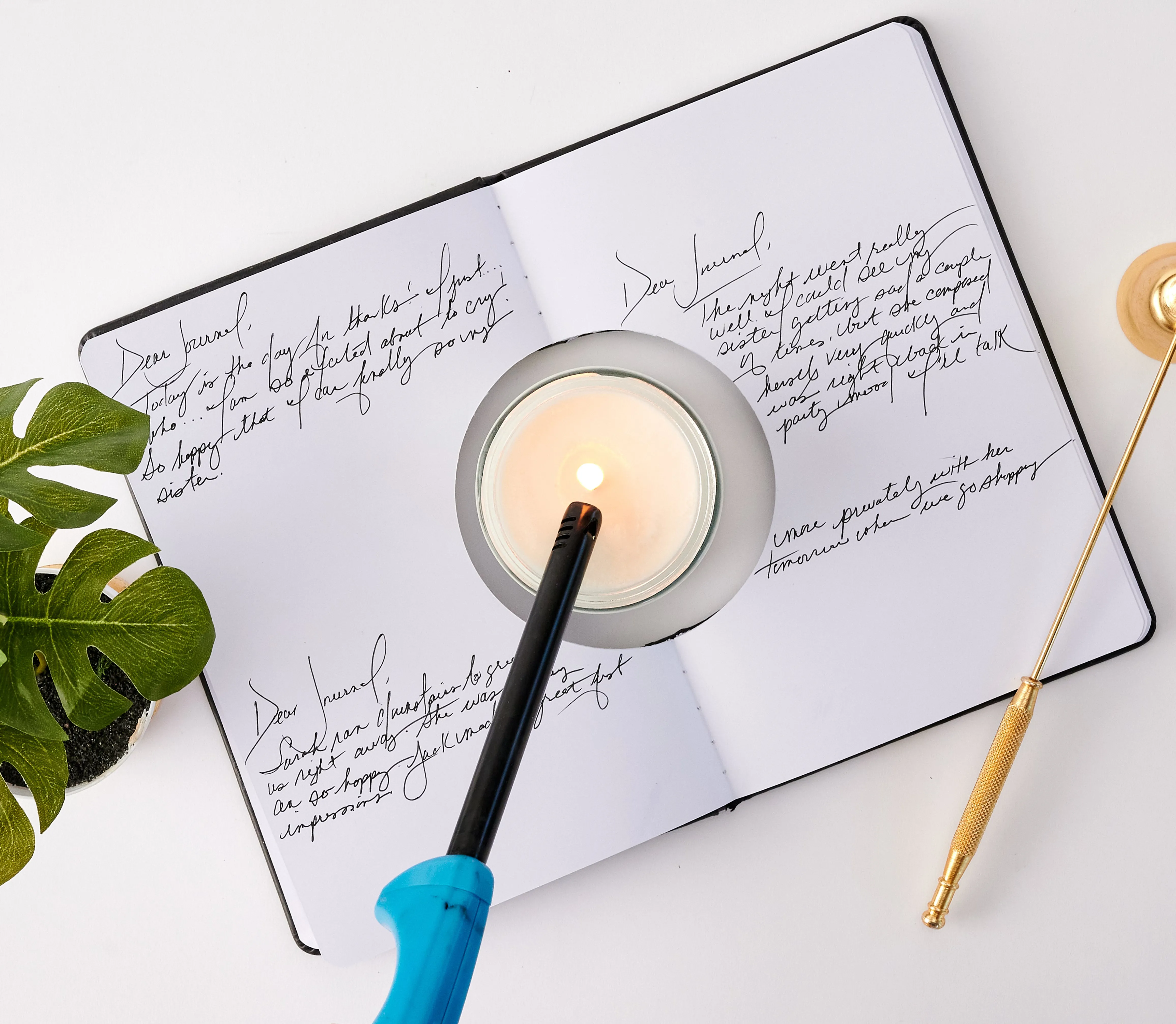 Manifestation Journal | Petite Petitions