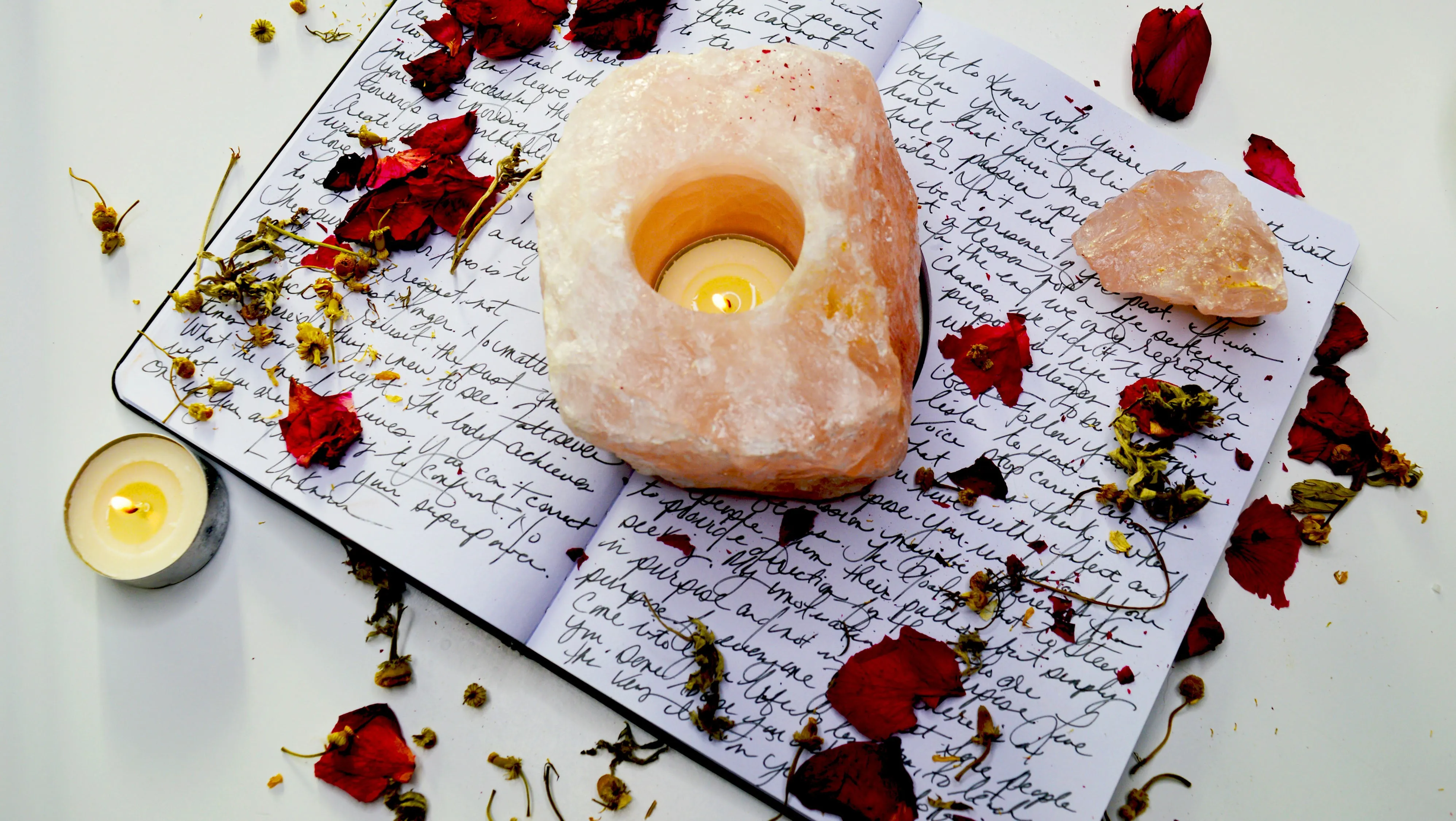 Manifestation Journal | Petite Petitions
