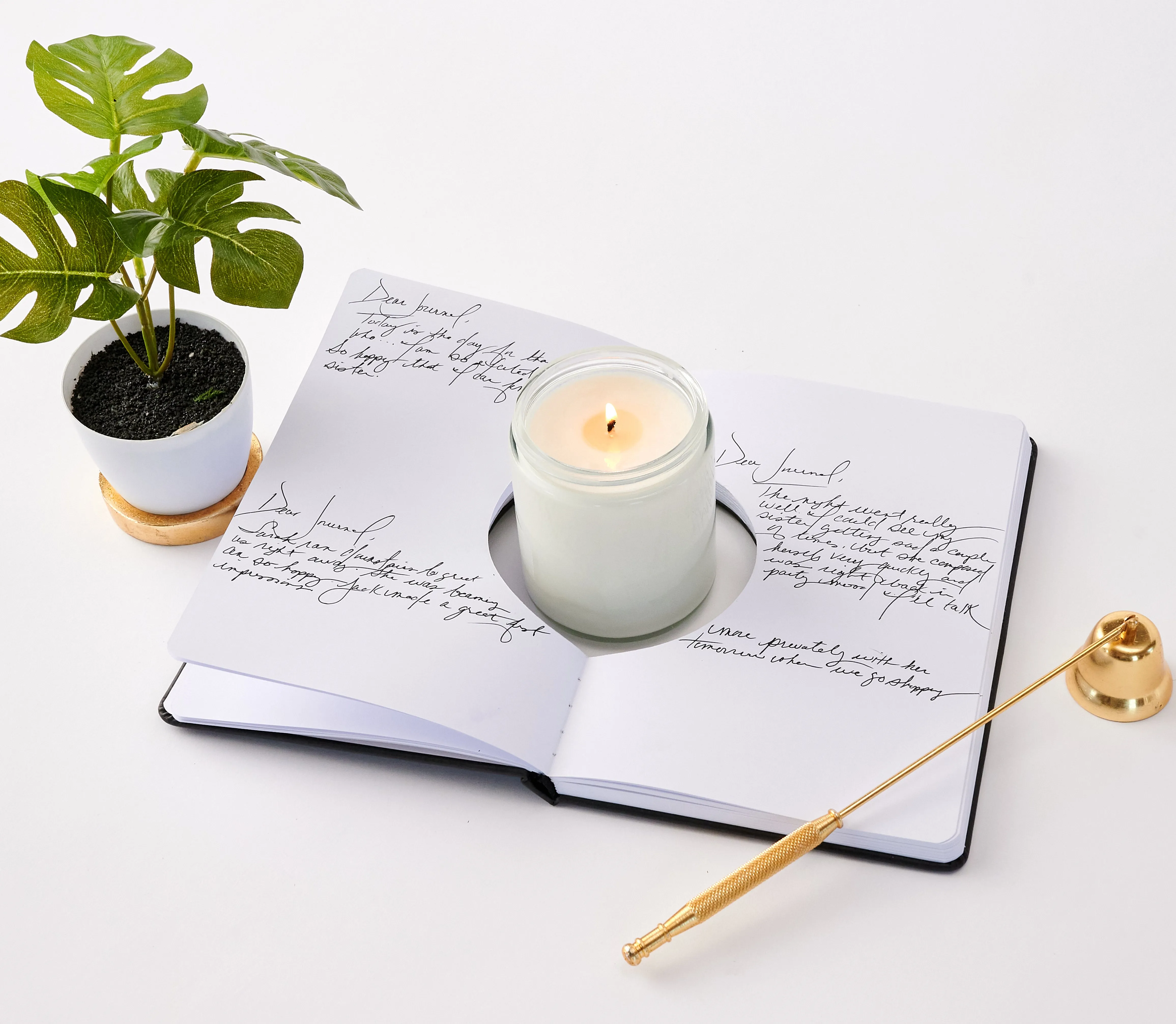Manifestation Journal | Petite Petitions