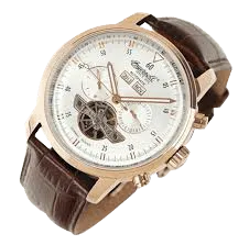 Men's Okies Stainless Steel Automatic Watch with Brown Genuine Leather Band