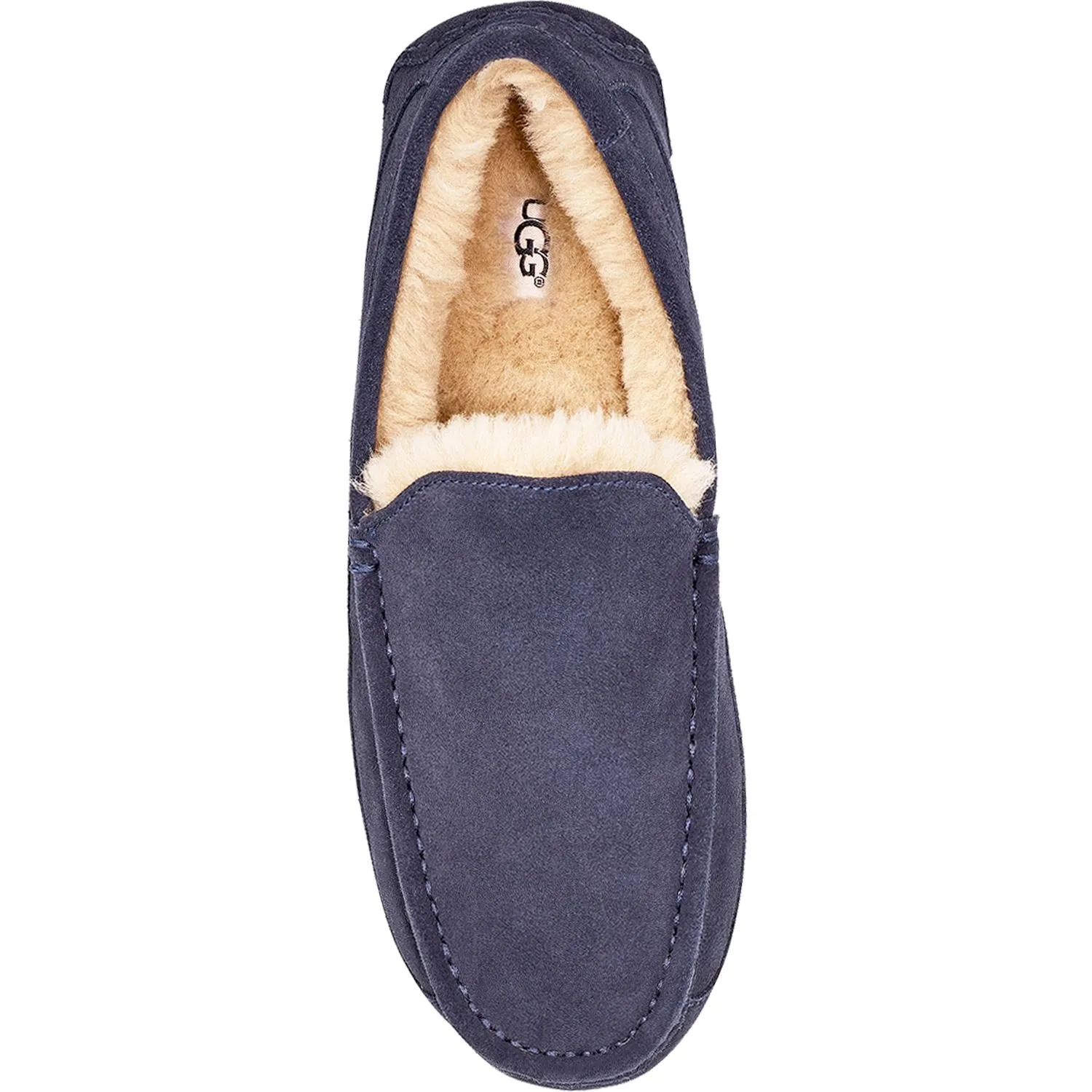 Men's UGG Ascot True Navy Suede