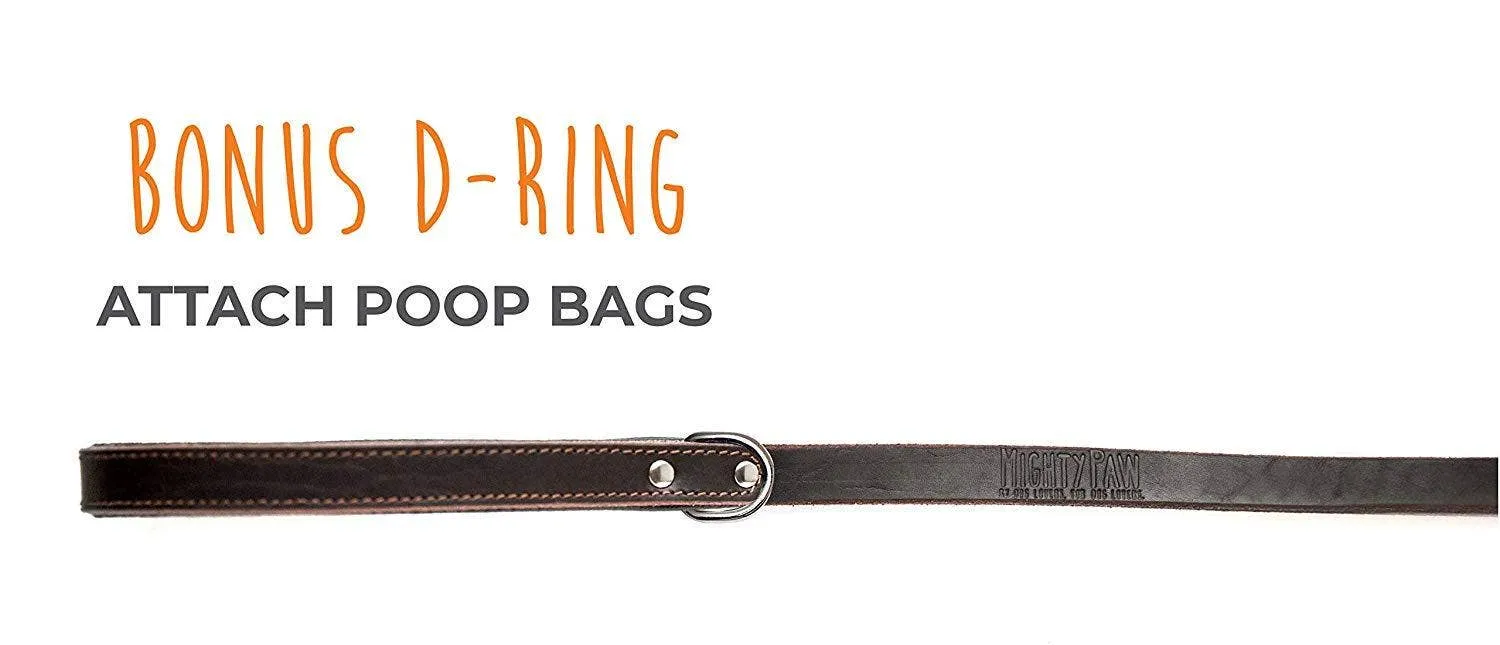 Mighty Paw - Leather Leash 6 ft.
