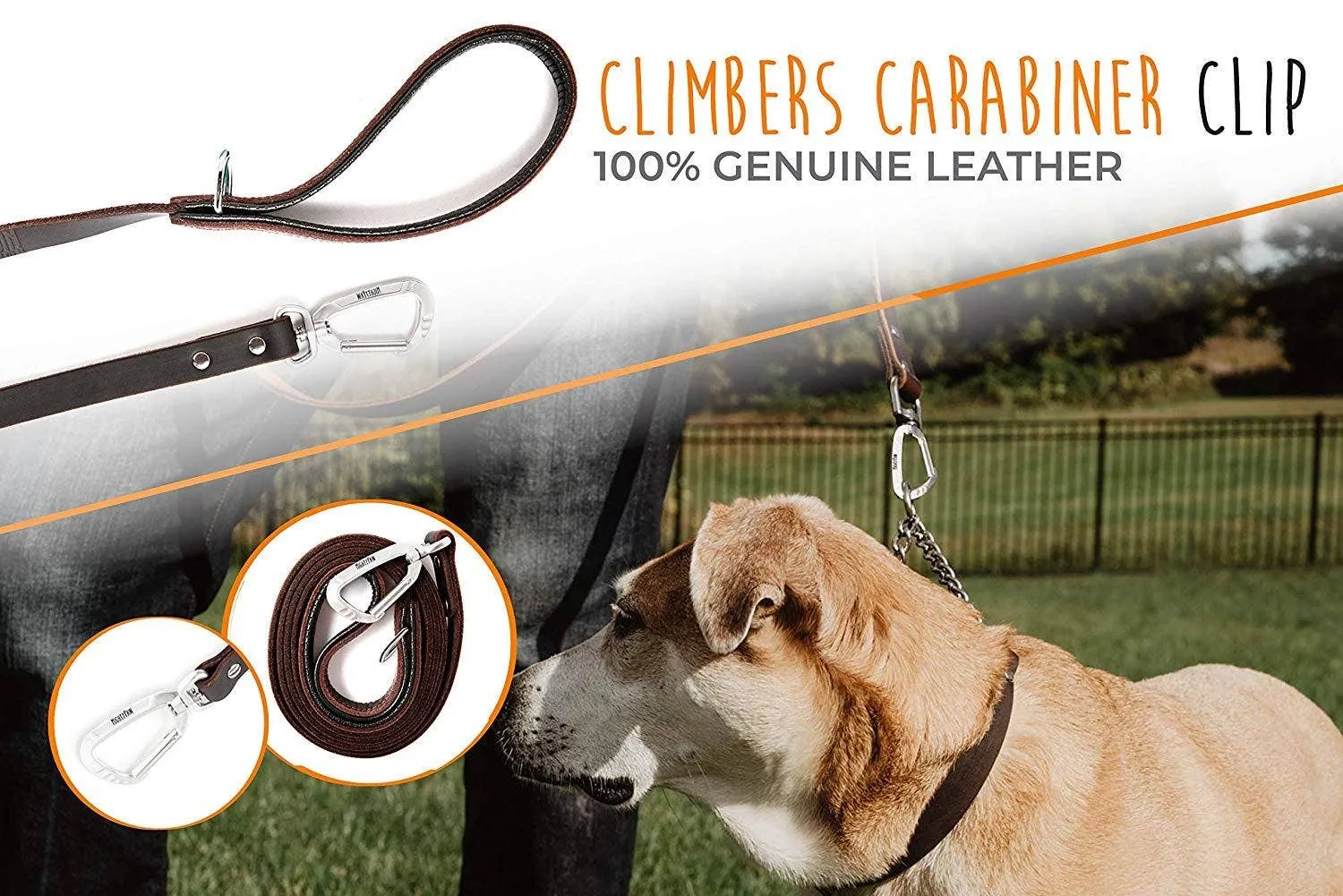 Mighty Paw - Leather Leash 6 ft.