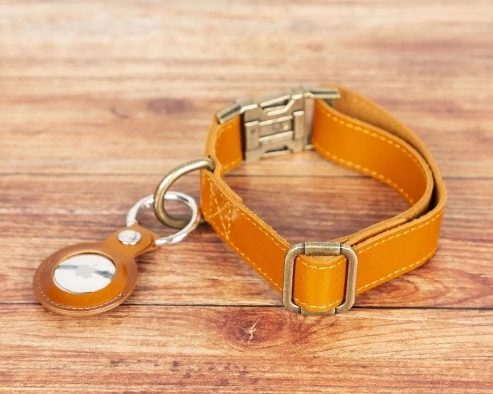 Scobby Leather Dog Collar