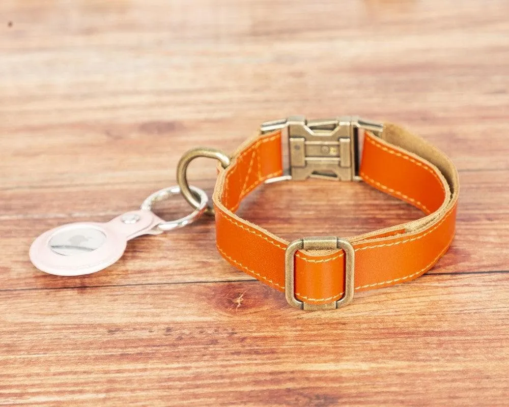 Scobby Leather Dog Collar