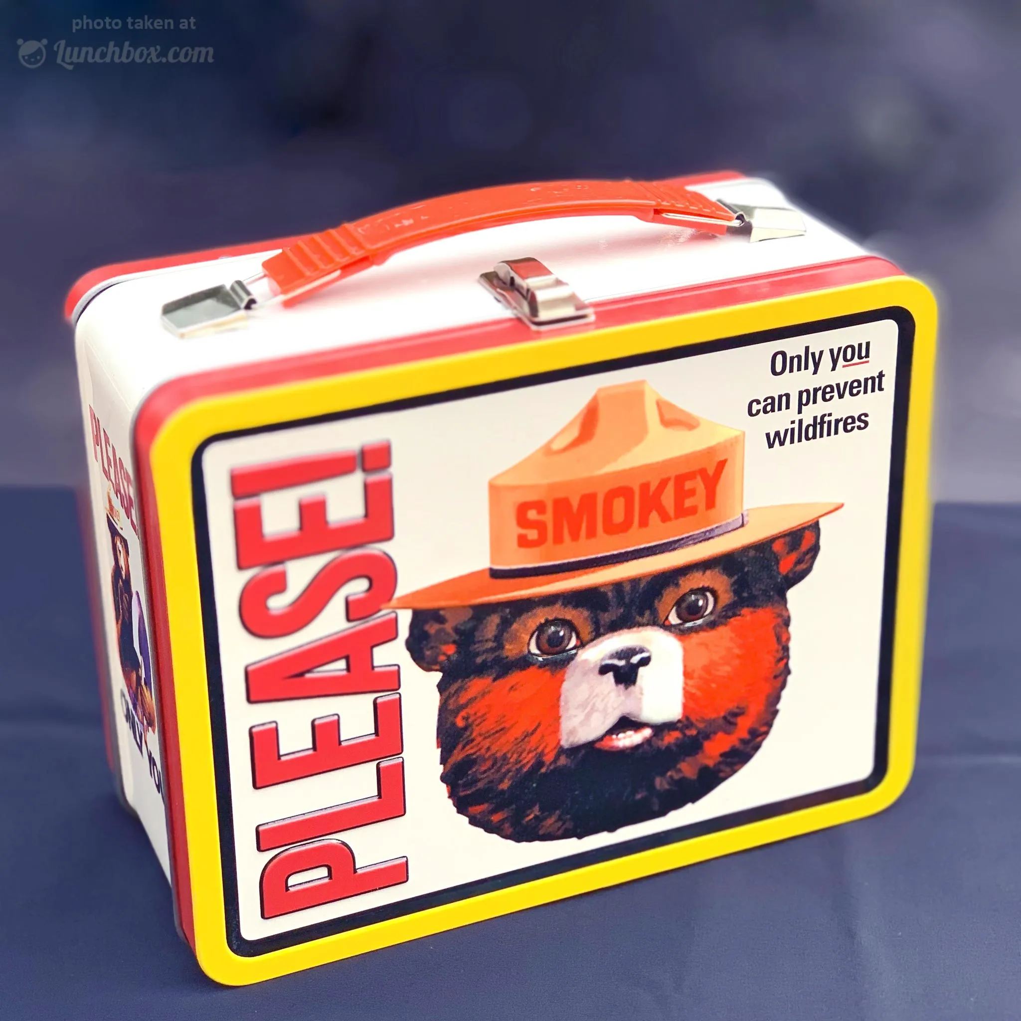Smokey Bear Lunch Box