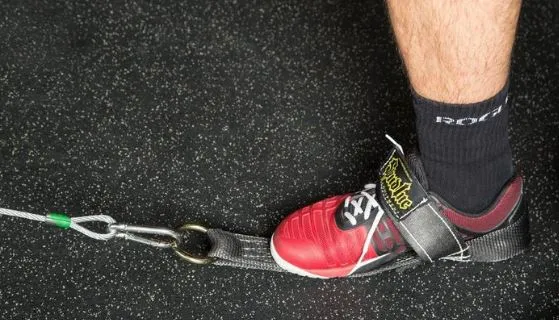 Spud Hamstinger Deluxe for Hamstring Curls Use With Cable Machine, Bands or Chains