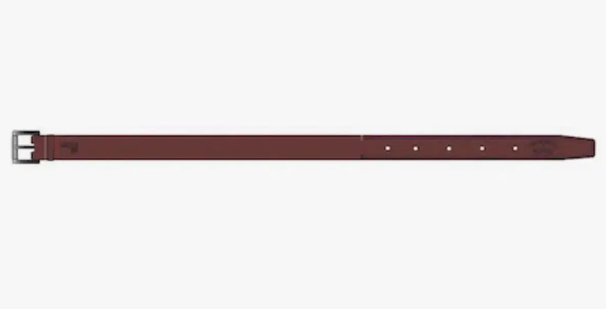Superdry Men's Badgeman Leather Belt Tan