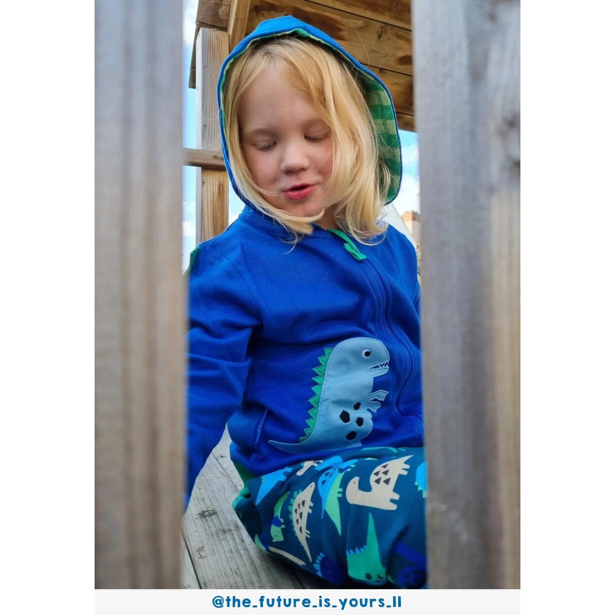 Tonal Dinosaur Applique Hoodie