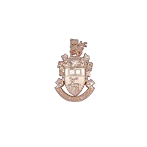 University of Southampton Officer Training Corps Metal Cap Badge