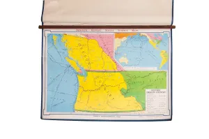 Vintage Denoyer Geppert Map