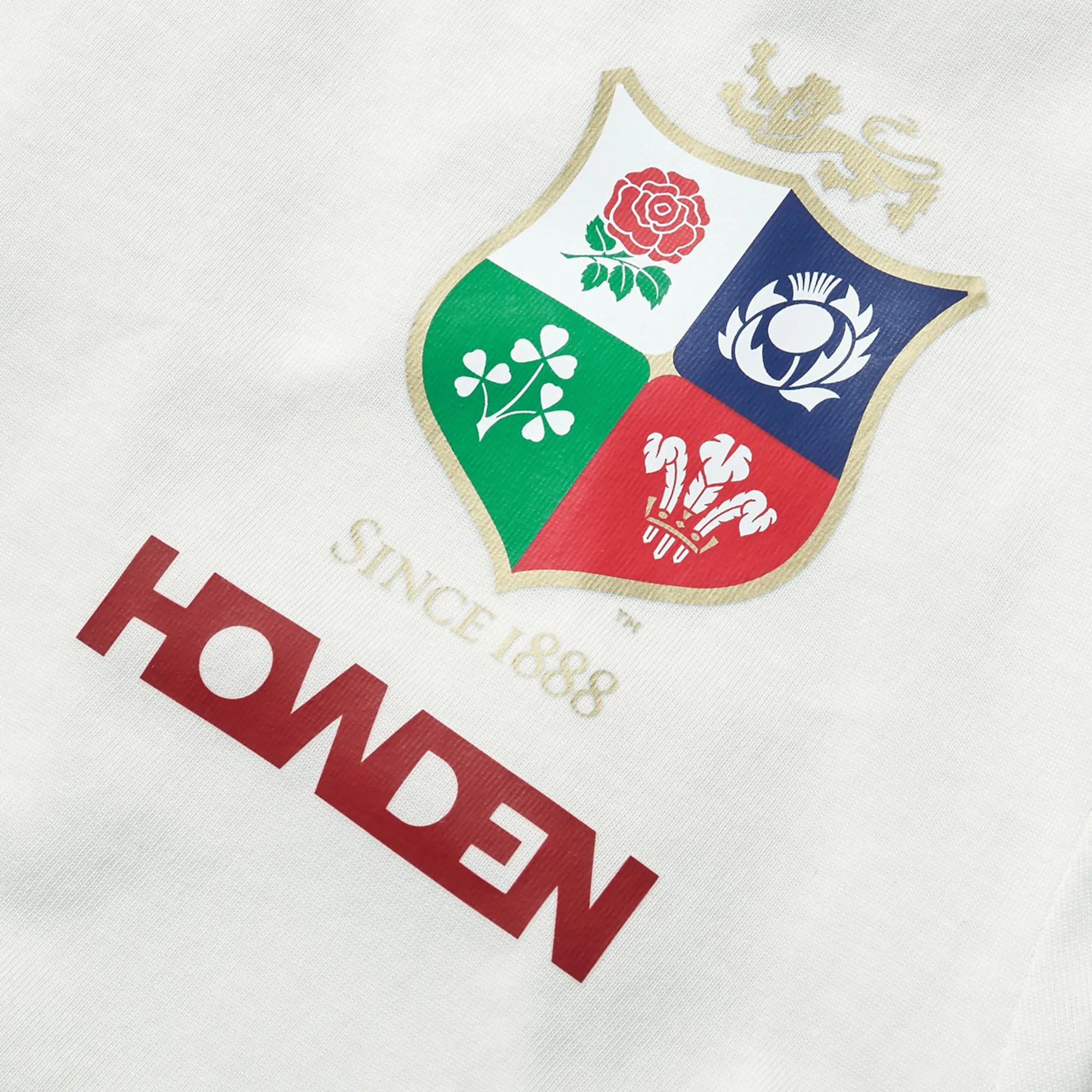 Women's British & Irish Lions 25 Cotton Jersey Tee by Canterbury